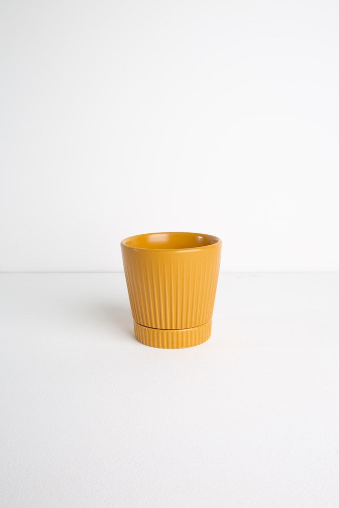 BULK S12 Indie Planter Medium - Mustard