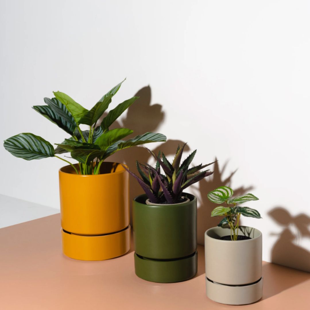 Planters & Vases