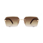 Sam Sunglasses - Taupe Brown Tort