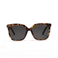 Azure Sunglasses - Amber Tortoise