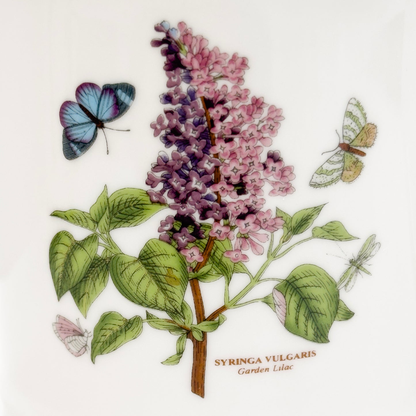 Lennon Ceramic Mug 350ml - Lilac