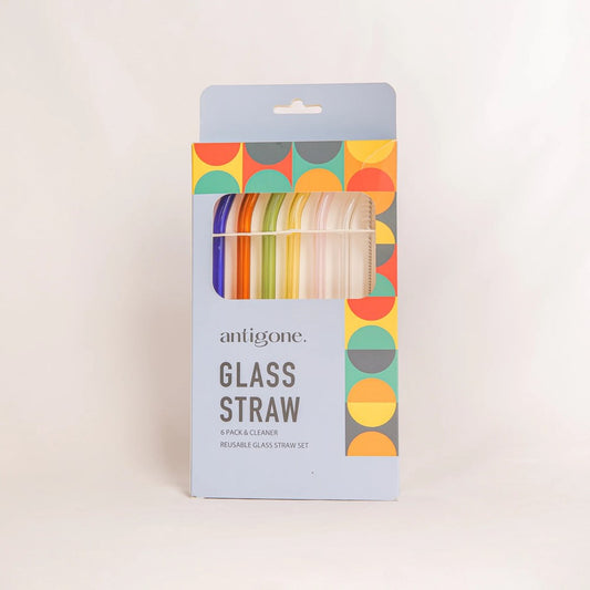 Reusable Glass Straws Set of 6 - Long Bend Multi