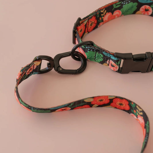 Pet Collar Floral Orange - Large