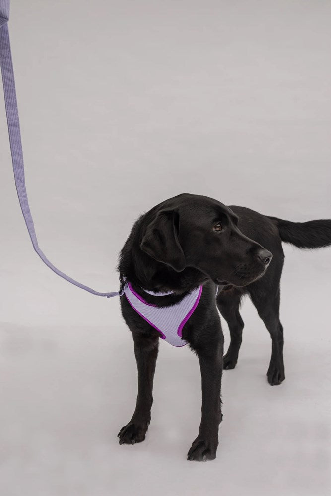 Pet Harness Cordroy Lilac - Medium