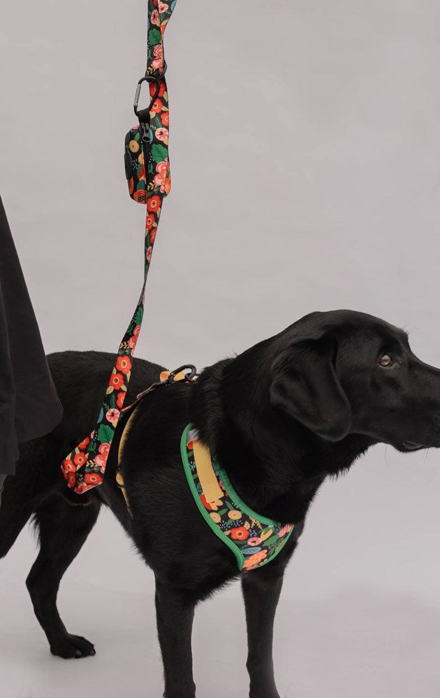 Pet Harness Floral Orange - Medium