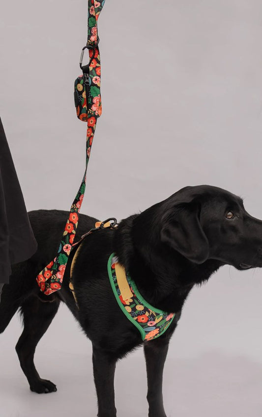 Pet Harness Floral Orange - Large