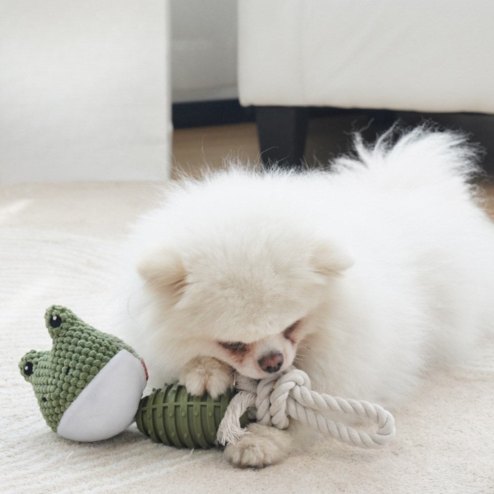 Dog Toy - Frog