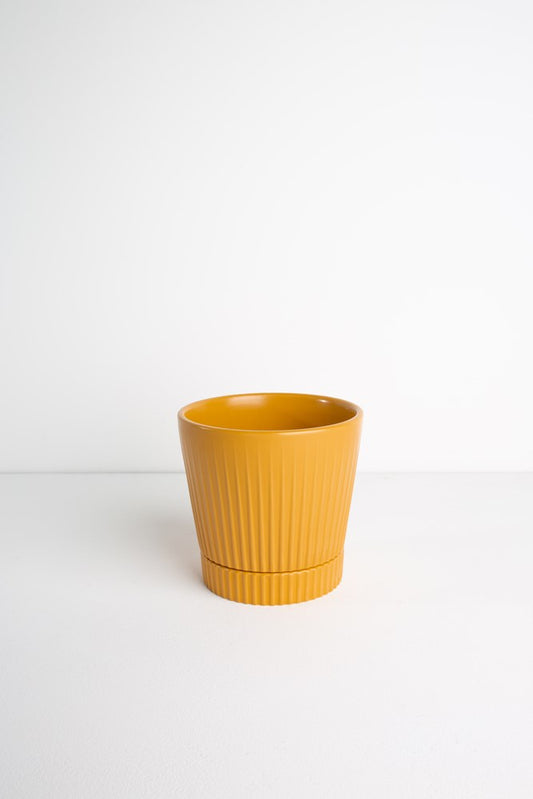 BULK S6 Indie Planter Large - Mustard