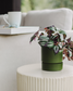 Billie Planter Small - Olive