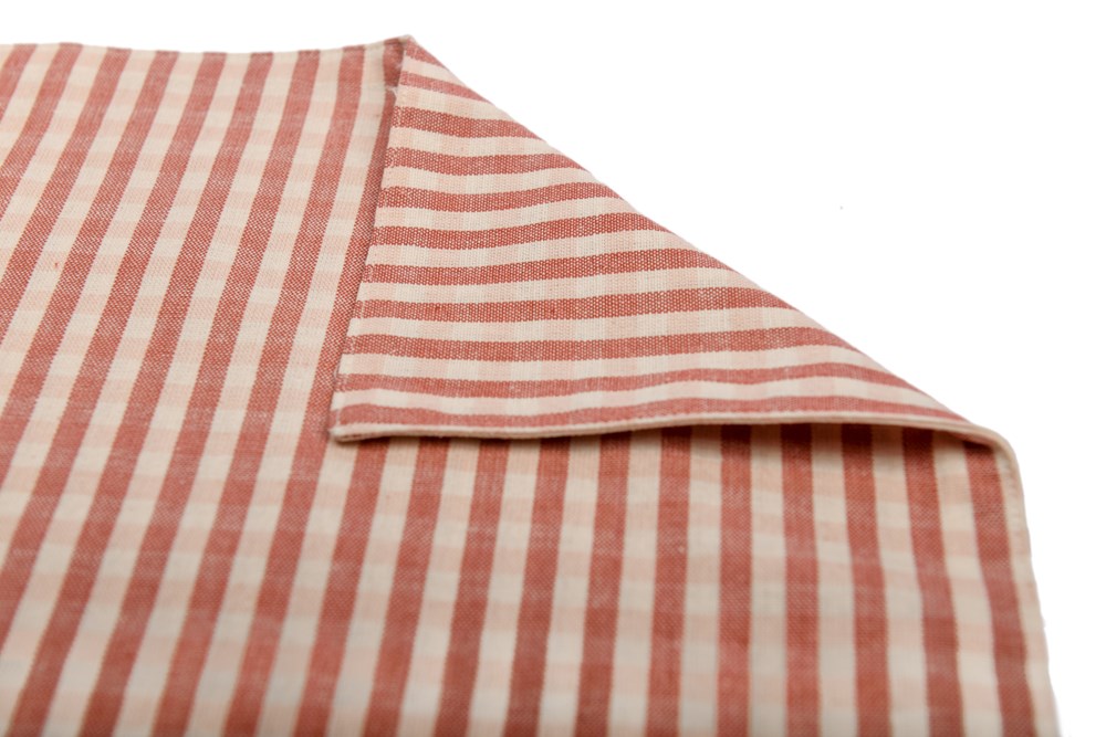 GINGHAM PLACEMAT FIG S/4