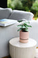 Billie Planter Small - Dusty Rose